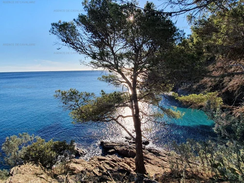 Studio Cavalaire-sur-Mer, Studio, 4 Personen - photo_20071288724