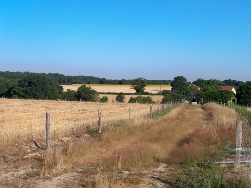 Guestroom La Berthenoux, Studio, 2 Personen - photo_20127775985