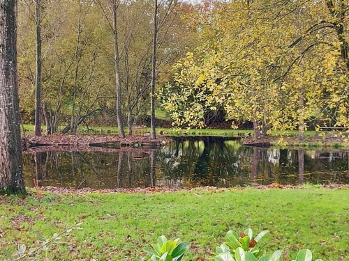 Gite Carelles, 6 bedrooms, 12 persons - photo_15084970717