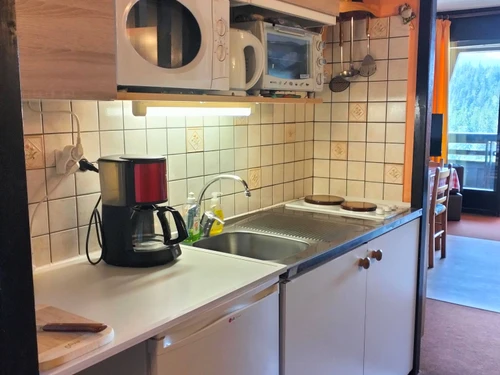 Estudio Villard-de-Lans, estudio, 4 personas - photo_20183670034