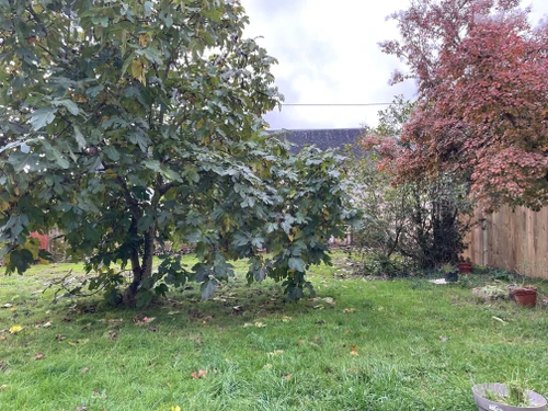 Gite Chahaignes, 1 bedroom, 4 persons - photo_20148549451